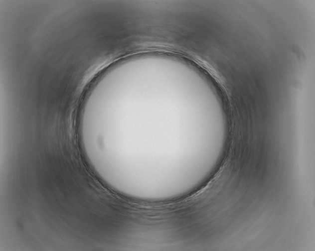 X0000113231261200909100936