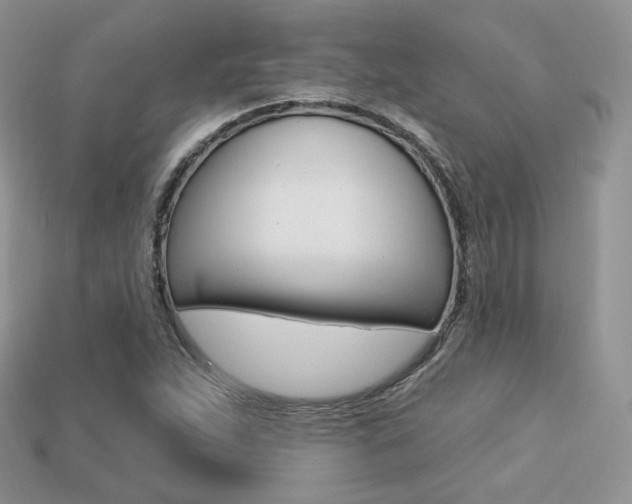 X0000113231263200909100936