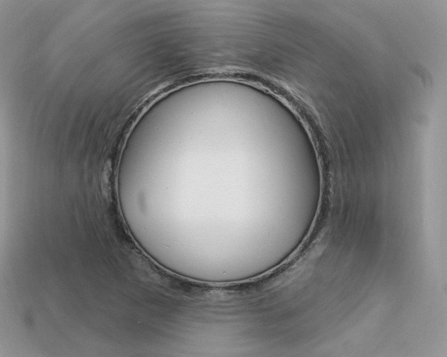 X0000113231265200909100936