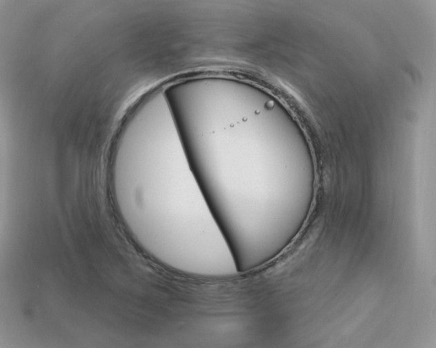 X0000113231267200909100936