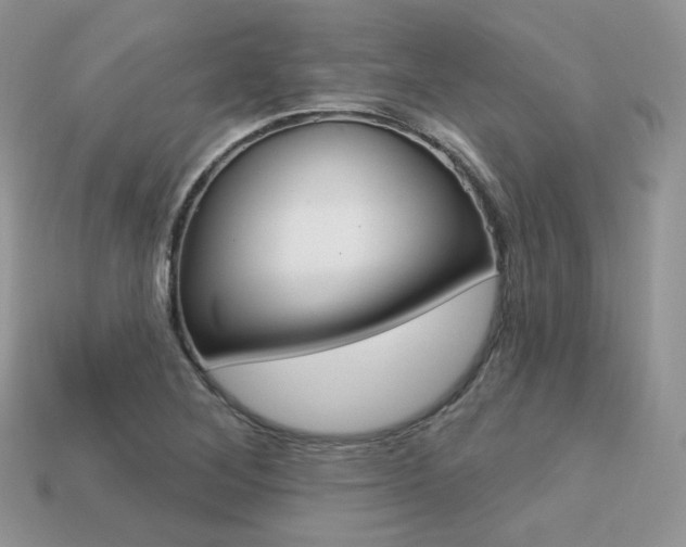 X0000113231268200909100936
