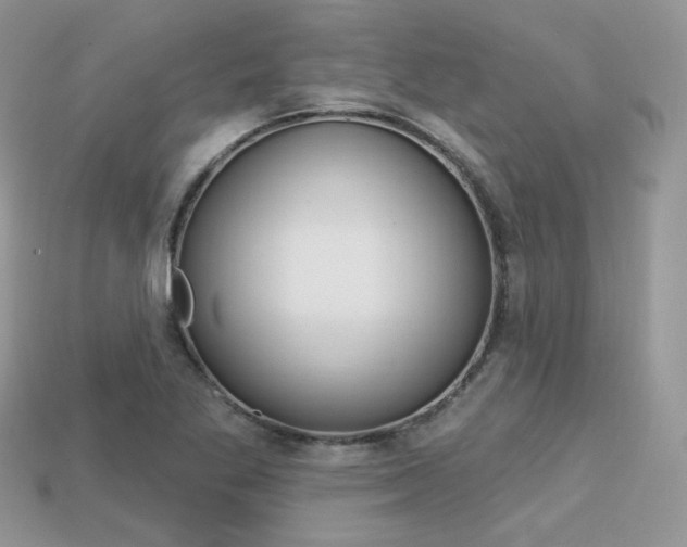 X0000113231269200909100936