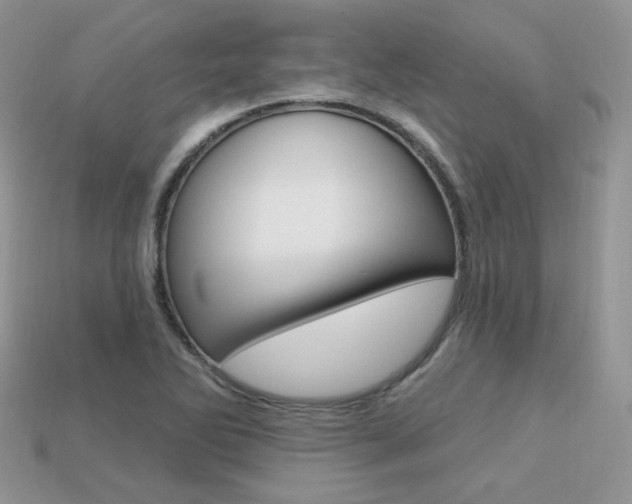 X0000113231270200909100936
