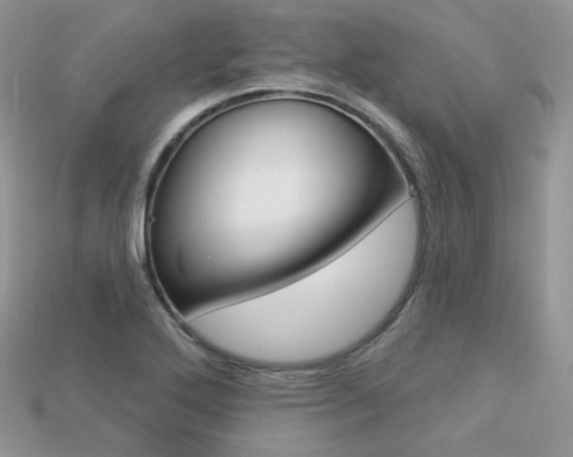 X0000113231272200909100936