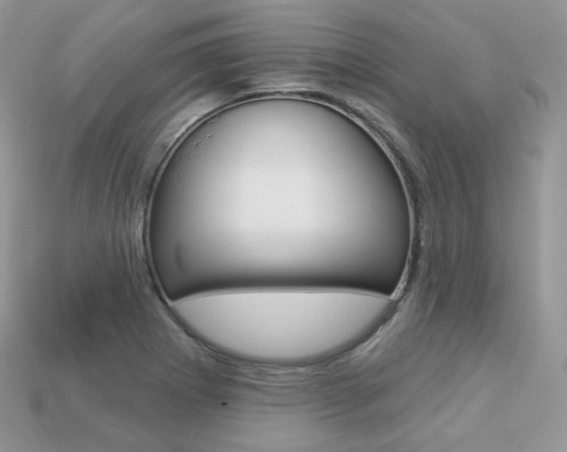 X0000113231273200909100936