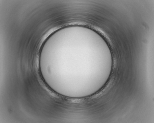 X0000113231274200909100936