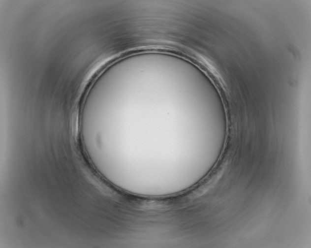 X0000113231275200909100936
