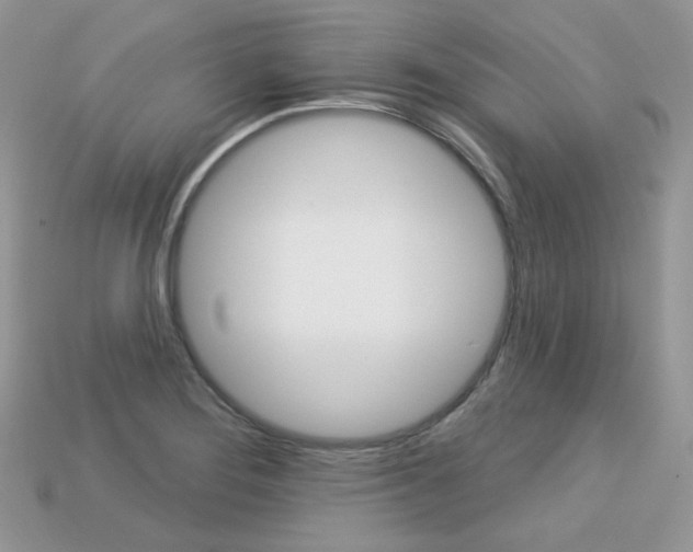 X0000113231276200909100936