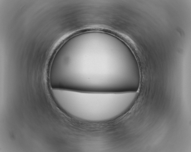 X0000113231279200909100936