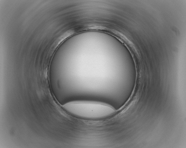 X0000113231281200909100936