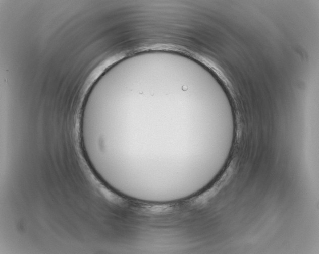X0000113231282200909100936