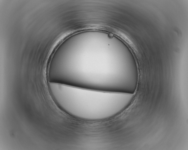 X0000113231283200909100936