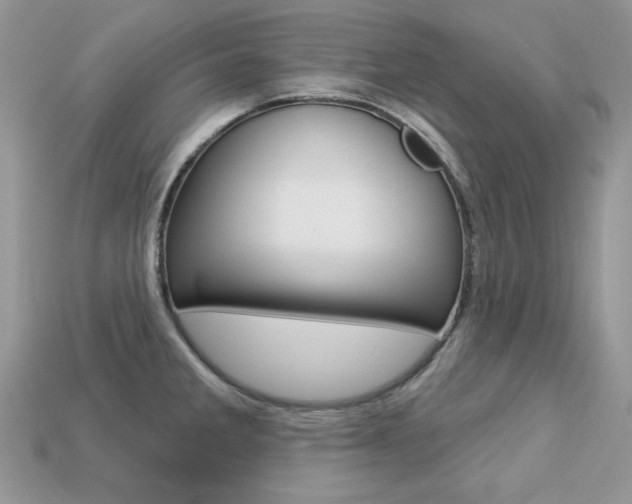 X0000113231285200909100936