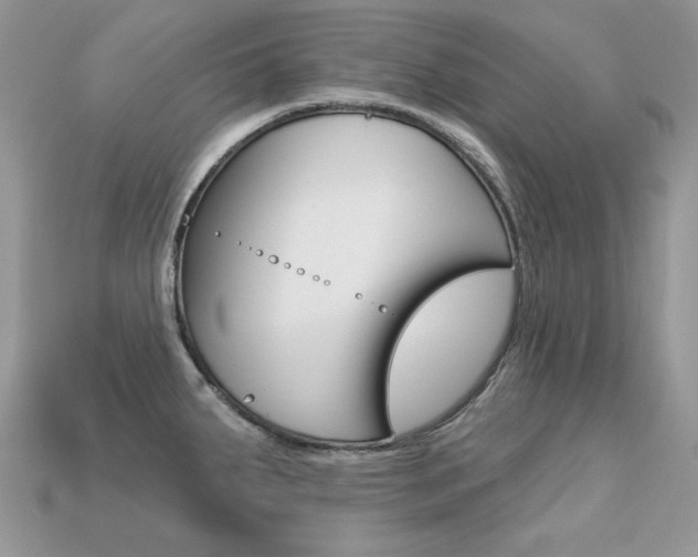 X0000113231287200909100935