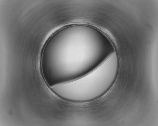 X0000113231288200909100935