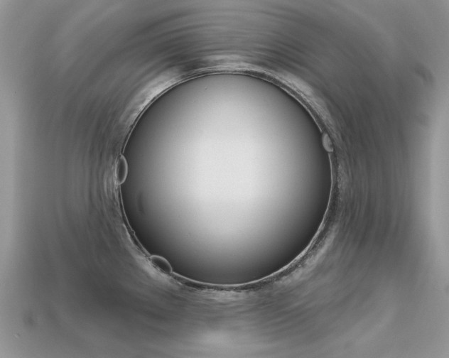 X0000113231289200909100935