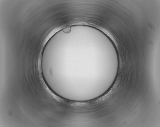 X0000113231290200909100935