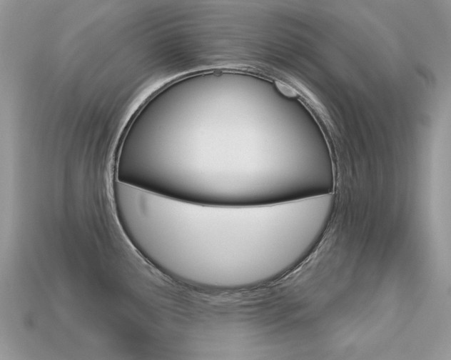X0000113231291200909100935