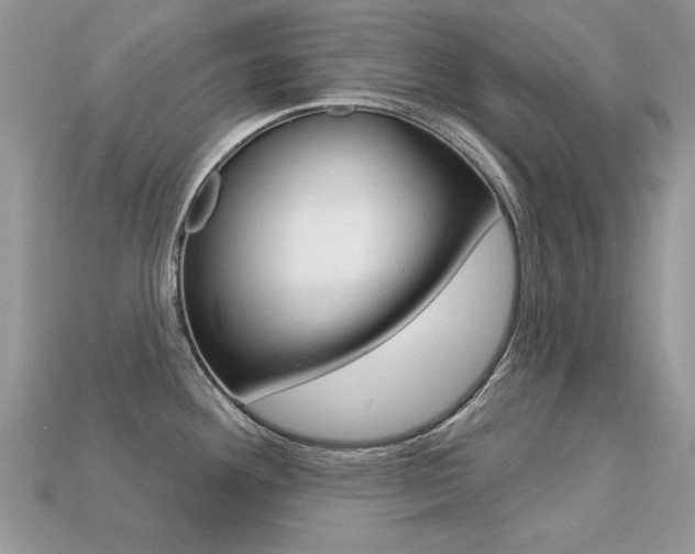 X0000113231292200909100935
