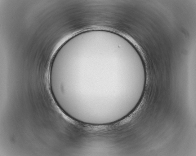 X0000113231294200909100935