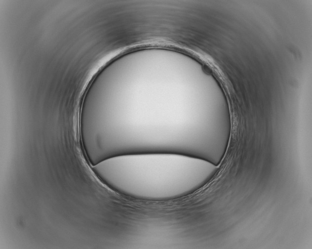 X0000113231295200909100935