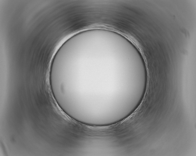 X0000113231296200909100935