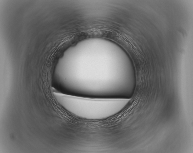 X0000113231297200909100935