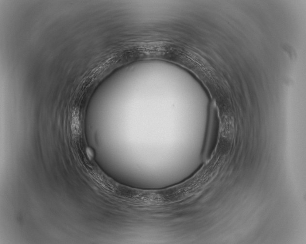 X0000113231298200909100935