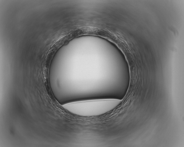 X0000113231301200909100935