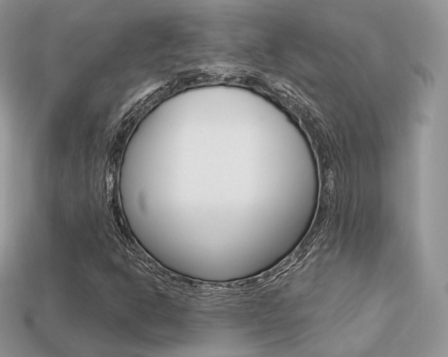 X0000113231302200909100935