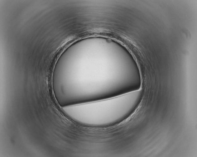 X0000113231305200909100935