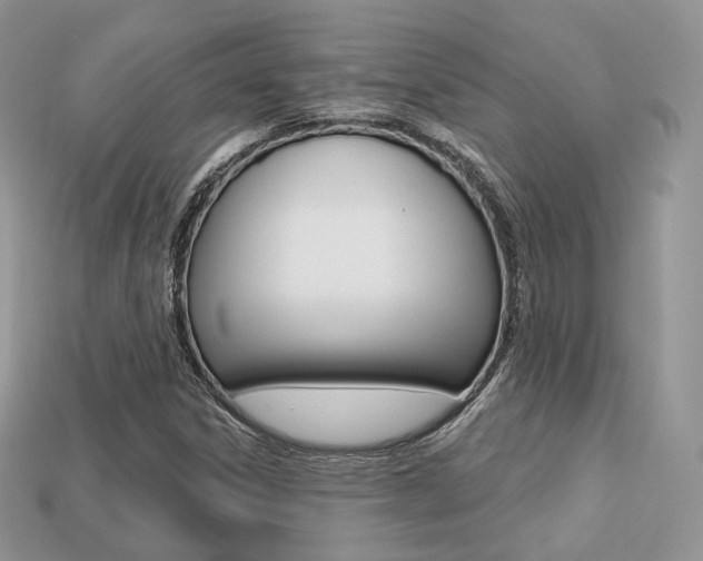 X0000113231306200909100935
