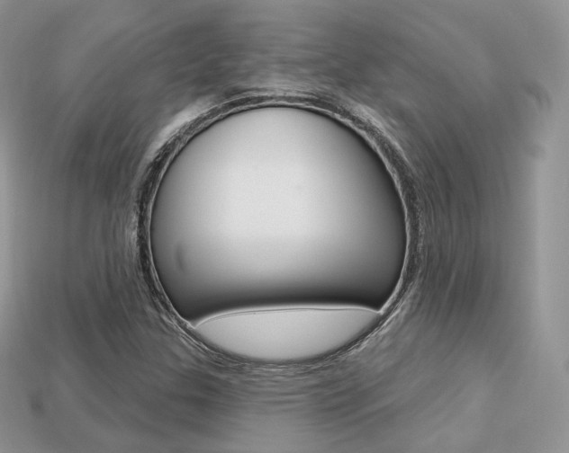 X0000113231307200909100935