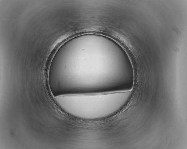 X0000113231308200909100935