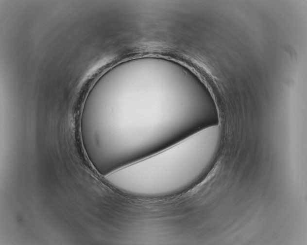 X0000113231309200909100935