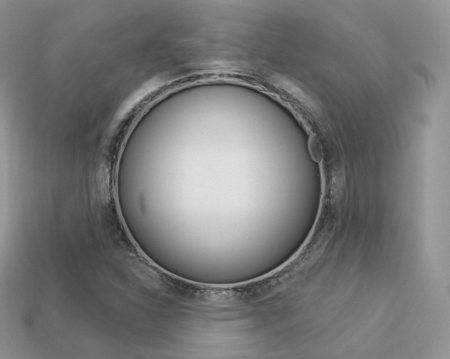 X0000113231310200909100935