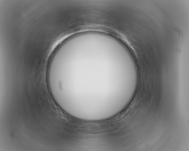 X0000113231312200909100935