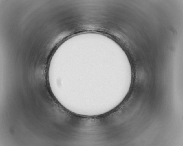 X0000113231314200909100935
