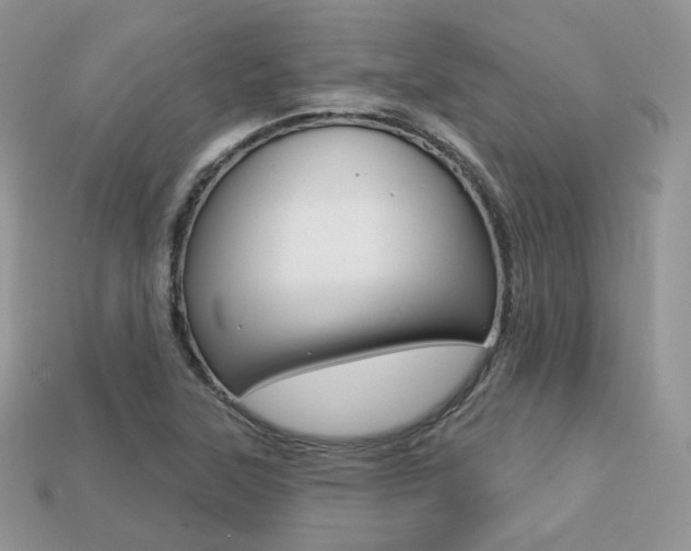 X0000113231315200909100935