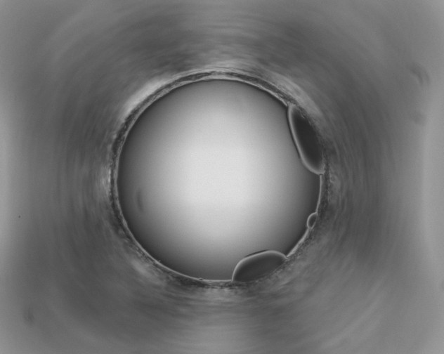 X0000113231316200909100935