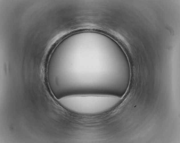 X0000113231318200909100935