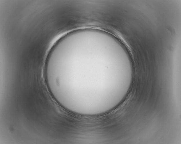 X0000113231320200909100935