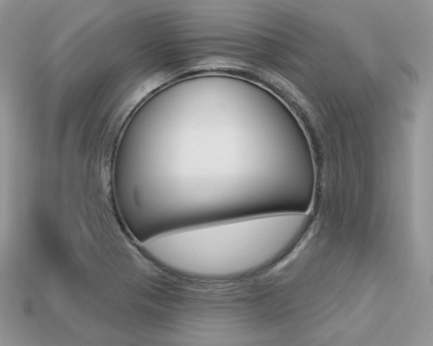 X0000113231321200909100935