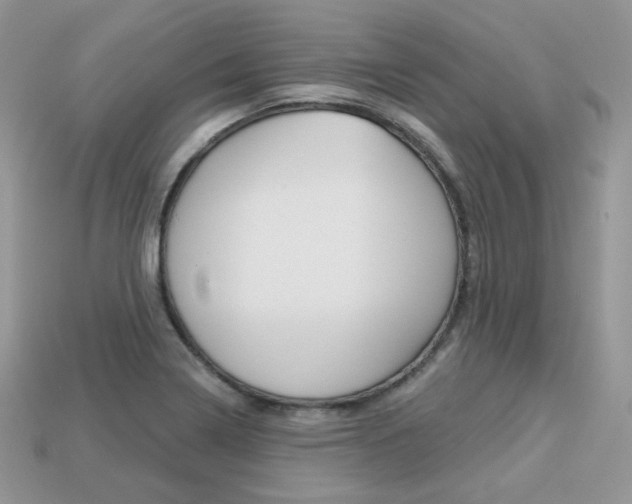 X0000113231322200909100935