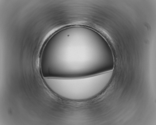 X0000113231324200909100935