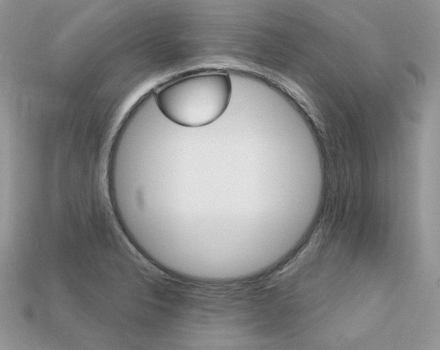 X0000113231326200909100935