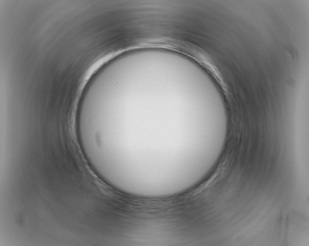 X0000113231328200909100935
