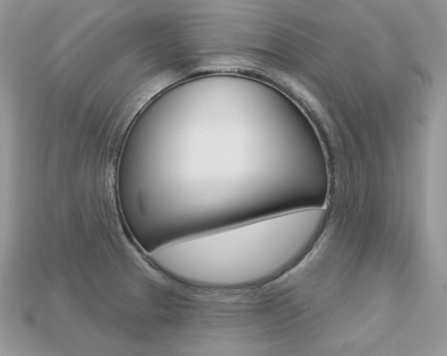 X0000113231329200909100935