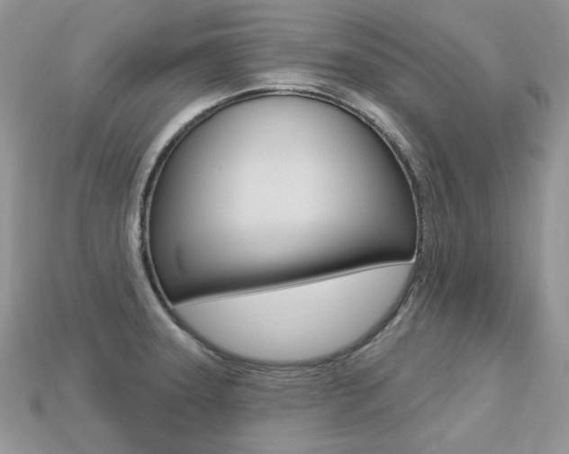 X0000113231331200909100935