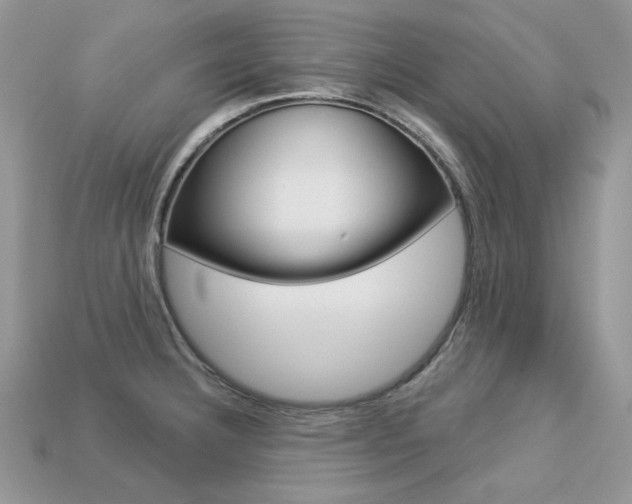 X0000113231332200909100935